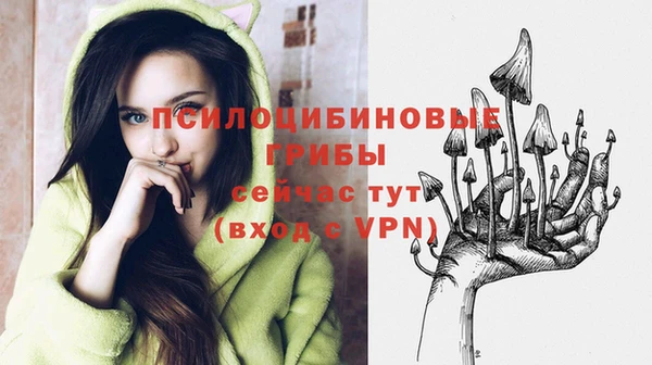 марки nbome Дмитриев