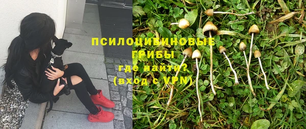 круглые Дмитров