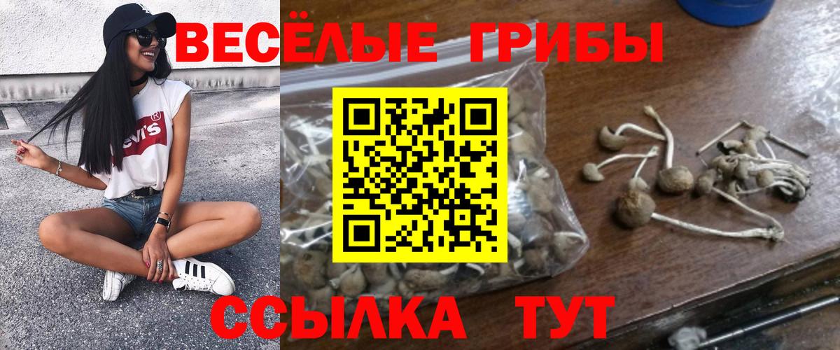 Балаково  Галлюциногенные грибы ЛСД  Галлюциногенные грибы прущие грибы  Вход с VPN 