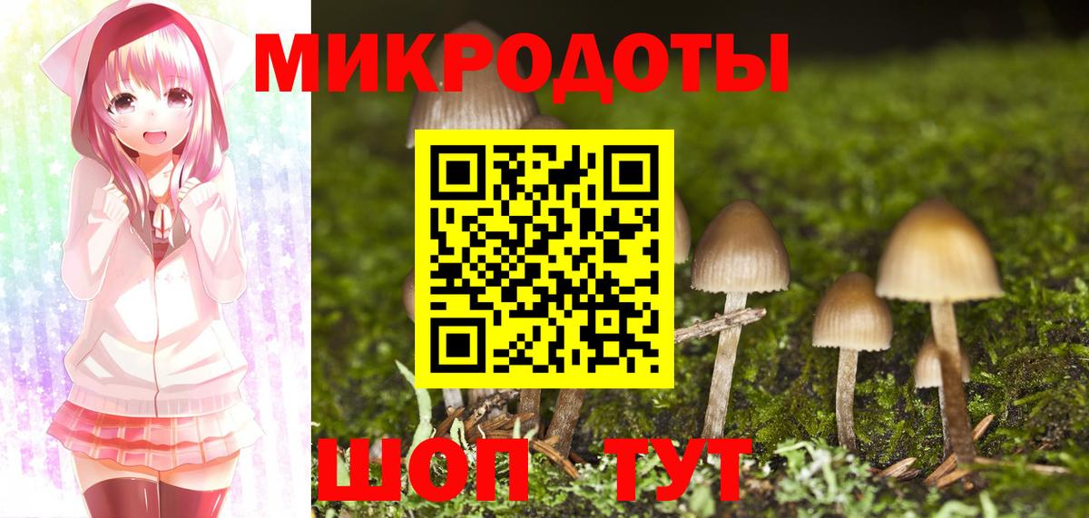 Псилоцибиновые грибы Psilocybine cubensis Балаково